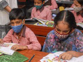 Term-I Sample Paper Released, Check New Pattern