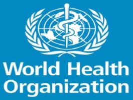 WHO calls for safe, ethical use of AI tools for health