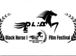 ‘Who am I’ receives best documentary award at Black Horse Film Festival